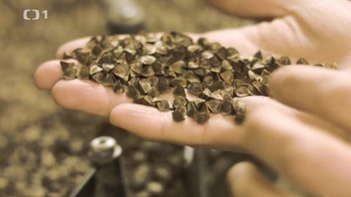 Na návštěvě u biozemědělce