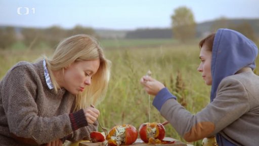 Pečená dýně plněná mletým masem