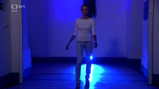 David Přílučík a Dana Paláková – Slow Real