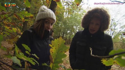 Adam s Martou vyhlašují soutěžní otázku o 3 CD