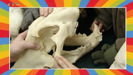 Výukové centrum v zoo v Ostravě