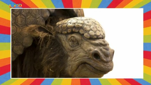 Giganti doby ledové