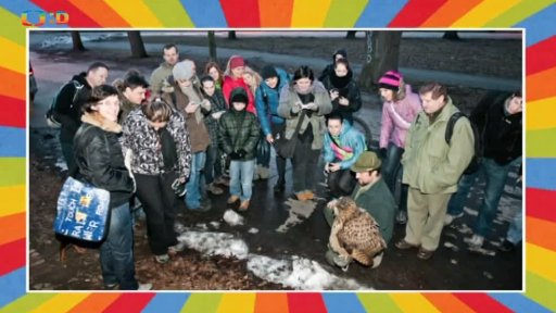 Za sovím houkáním do pražských lesů