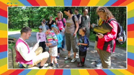 Pohádková cesta lesem