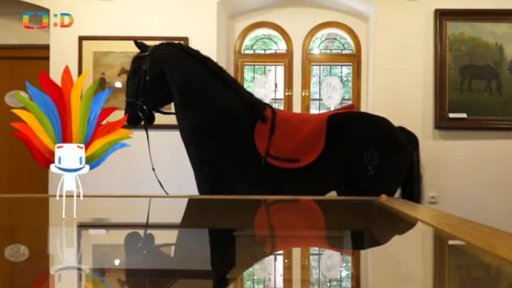 Muzeum starokladrubského koně