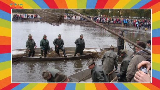 Výlov rybníka Rožmberk