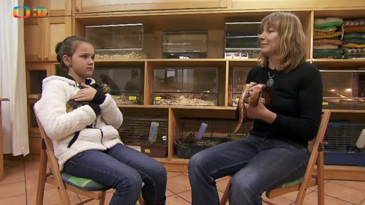 Příroda: Jak se starat o domácí mazlíčky v zimě?