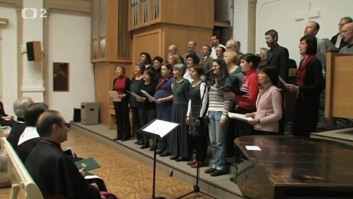 V lednu kvete ekuména