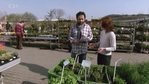 Bylinková zahrádka