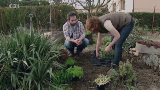 Bylinková zahrádka