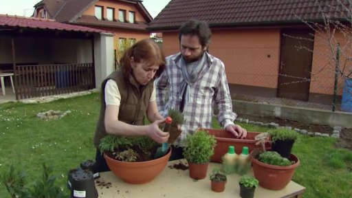 Bylinková zahrádka