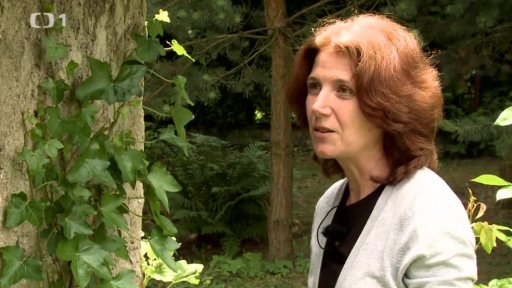 Pěstování pnoucích rostlin