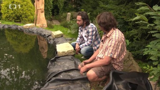 Zahradní jezírko I