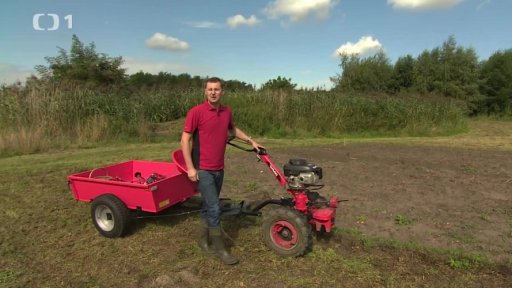 Vyorávání brambor