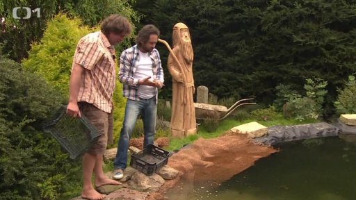 Zahradní jezírko II