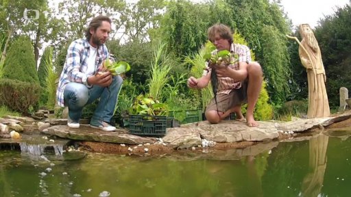 Zahradní jezírko III