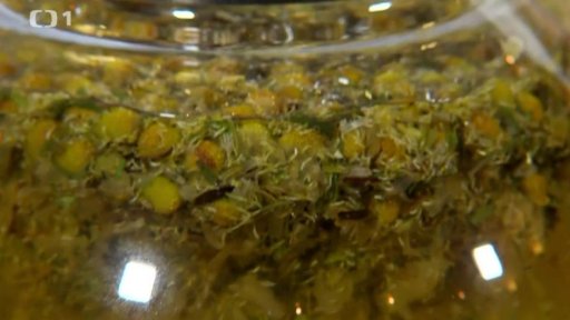 Nálev z heřmánku pro koupel, světlé vlasy i saunování