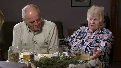 Bylinná čajová směs při nachlazení, chřipce a dýchacích obtížích