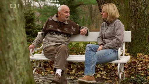 Ostropeřec mariánský a bříza bělokorá