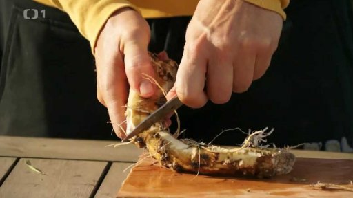 Křen selský a proskurník lékařský