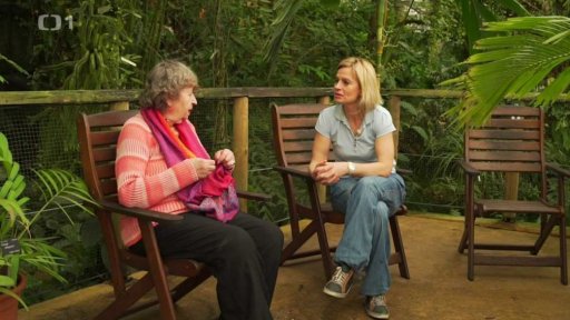 Jak poznat správného bylinkáře či léčitele