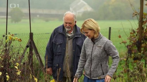 Zahrada léčivých rostlin tradiční čínské medicíny