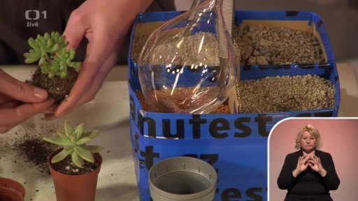 Zahrádka na niti + kokedamy - Lenka Hrubá