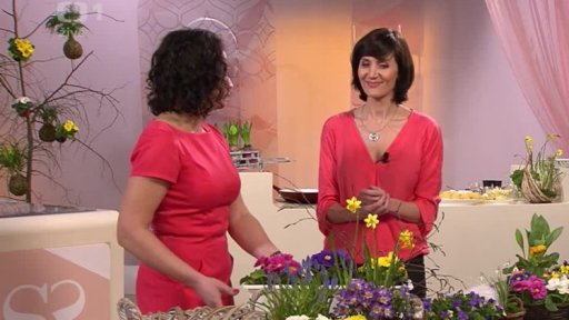 Jarní květiny - Magda Lebišová