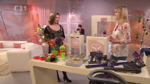 Pomocníci na jarní úklid - Jana Vaňátková