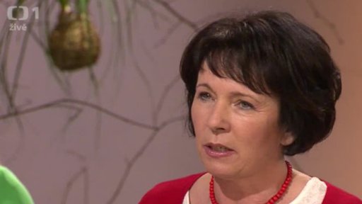 Domácí ekonomika - Lenka Vichnarová