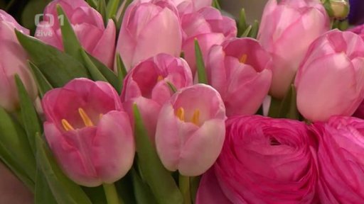 Řezané květiny a moderní vazby - Katka Šedivá - 1. část