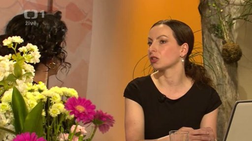 Finance - jak lze v Česku investovat, srovnání (podílové fondy, dluhopisy, výnos, riziko a investiční horizont) - Ing. Lucie Simpartlová (chat) - 2. část