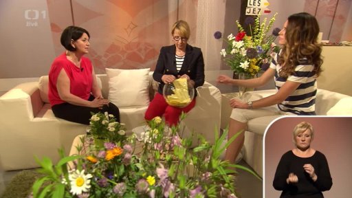 Bolest v oblasti břicha - MUDr. Naděžda Machková (dotazy) - 3. část