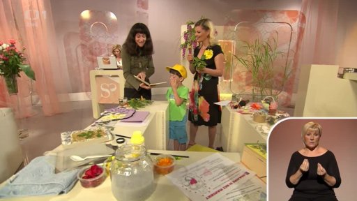 Jak vyrobit herbář - Kateřina Neubauerová - 1. část