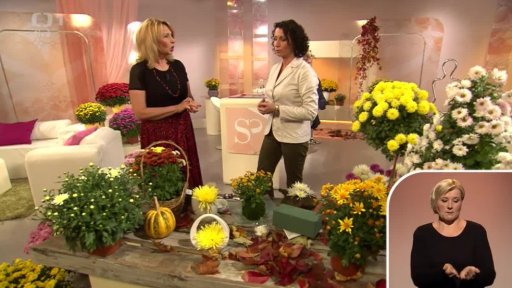 Podzimní květiny – Magda Lebišová + anketa