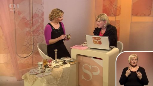 Péče o starožitnosti a úklid – Ing. Simona Šustková (chat) - 2. část