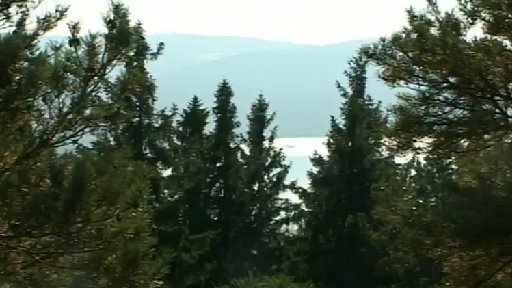 Stezka korunami stromů