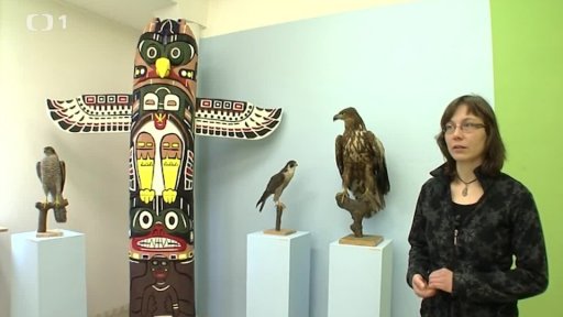 Atlas ptáků neobyčejných