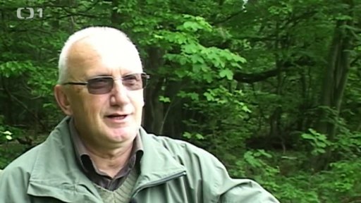 Šerlich v Orlických horách