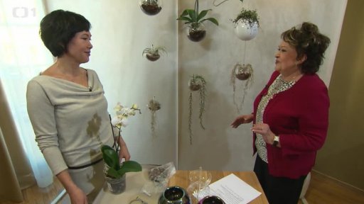 Květinová létající zahrada