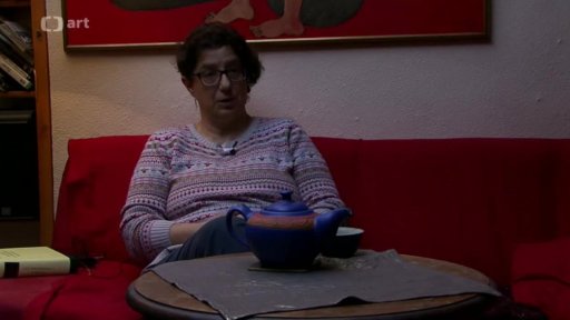 Zkušená návštěva