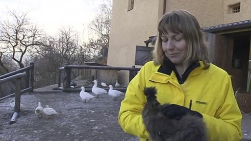 Adopce zvířat z Toulcova dvora