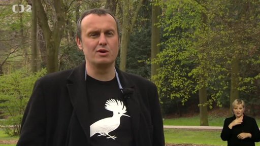 Pozorování ptáků v Izraeli