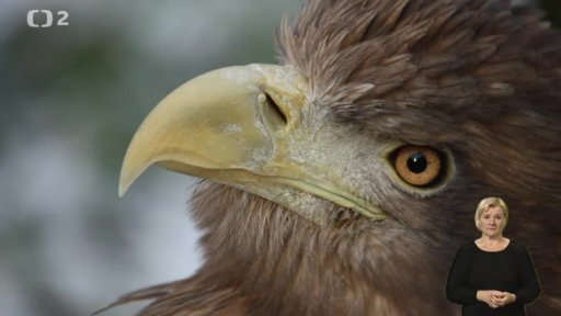 Pomáháme jim přežít