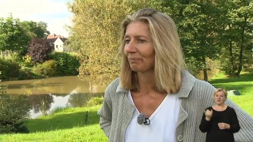 Jak regulovat výskyt toulavých koček?