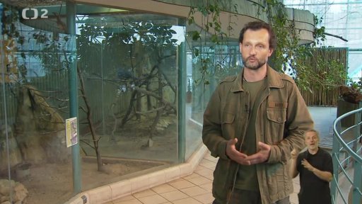 Pomáháme jim přežít