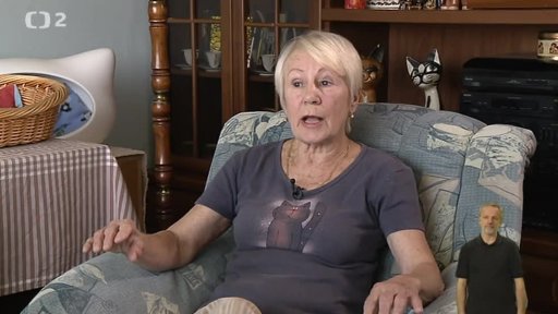 Svoboda zvířat – sekce na ochranu koček v Plzni