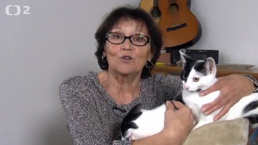 Nabídka koček z Poděbrad