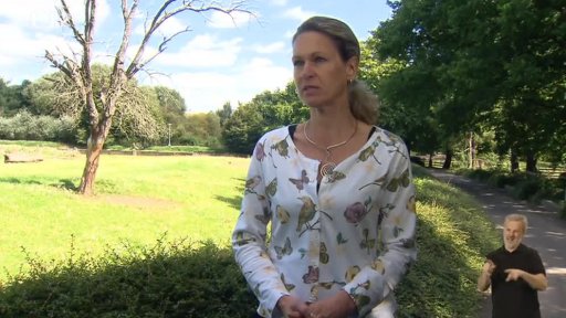 Pomáháme jim přežít: Zubr evropský