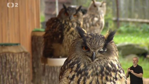 Záchranná stanice terénní ochrany Stop